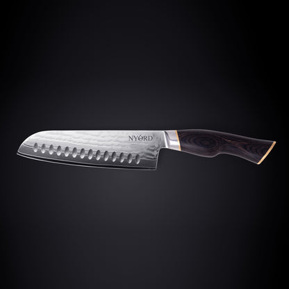 DAMASCUS SANTOKU KNIFE